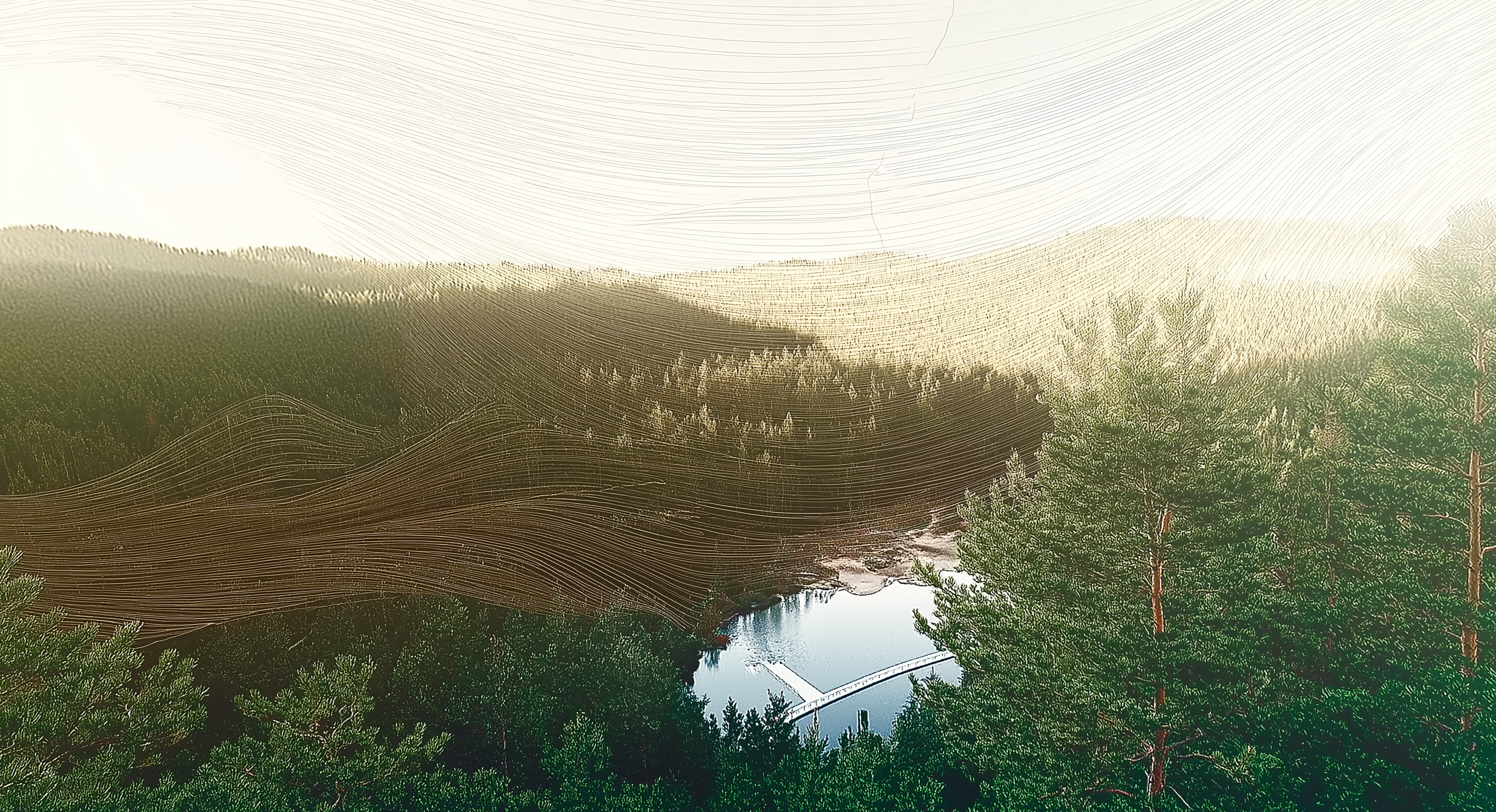 MRV for Reforestation